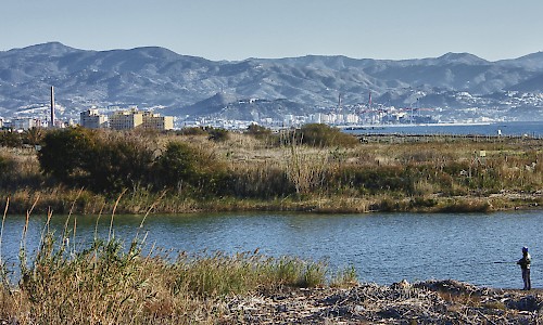 Desembocadura del Guadalhorce, Málaga