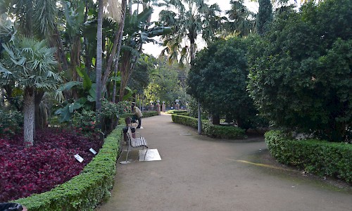 Paseo del Parque, Málaga