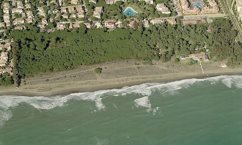 Playa y pinar Baños, Estepona (Fuente: Bing Mapas)