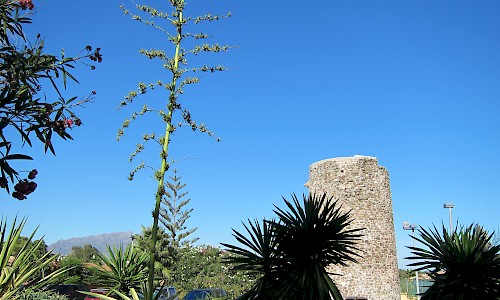Torre del Saladillo, Estepona